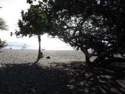 La Réunion au quotidien